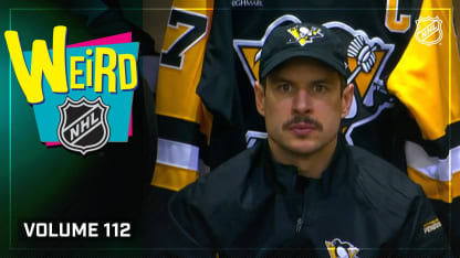 经验丰富的 经验丰富的