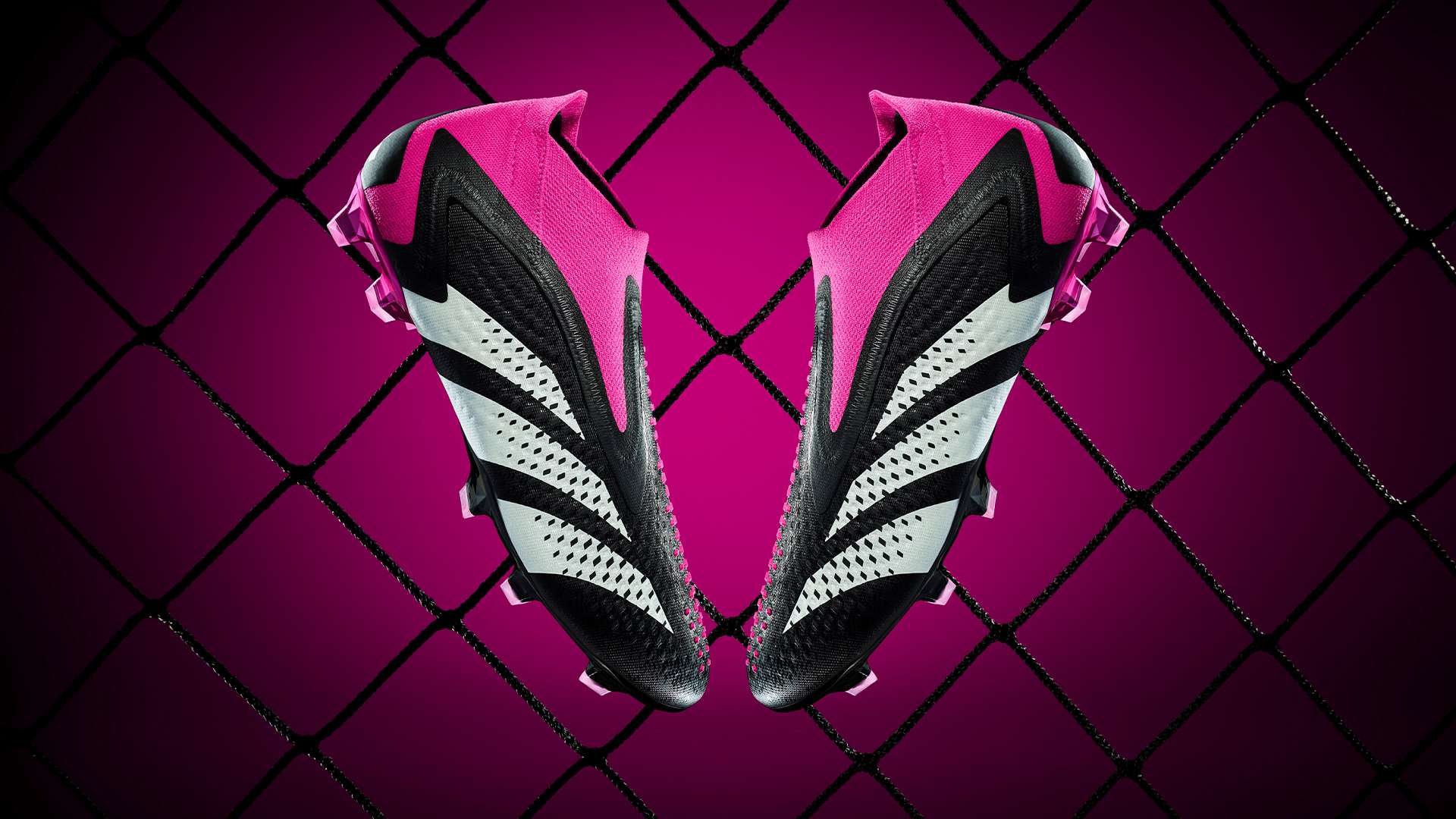 了一场场精 了一场场精