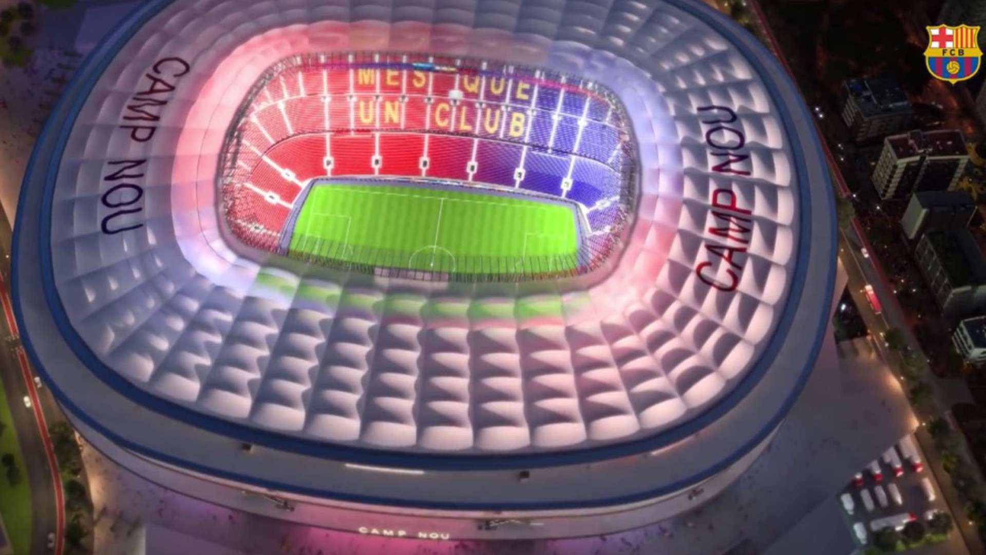 的适应能力 的适应能力